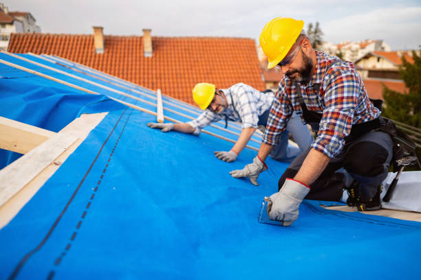 Residential Roof Replacement in Denmark, SC
