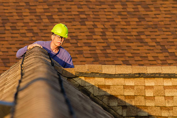 Quick and Trustworthy Emergency Roof Repair Services in Denmark, SC