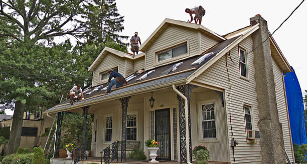 Best Flat Roof Repair Services  in Denmark, SC